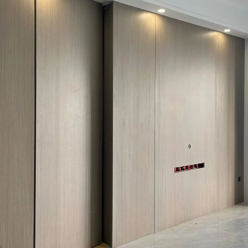 Invisible Door