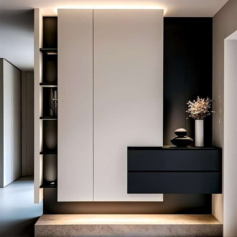 Shoe Cabinet